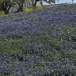 Meet your Posher, Martha